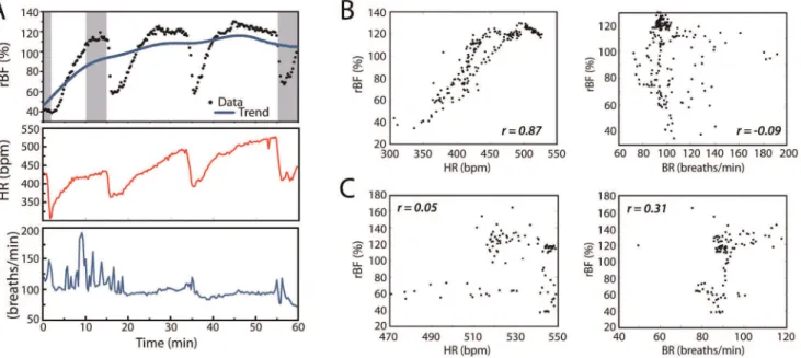 Table 1. Strain-dependent changes in rBF trends at three different time periods during one hour of unperturbed monitoring.