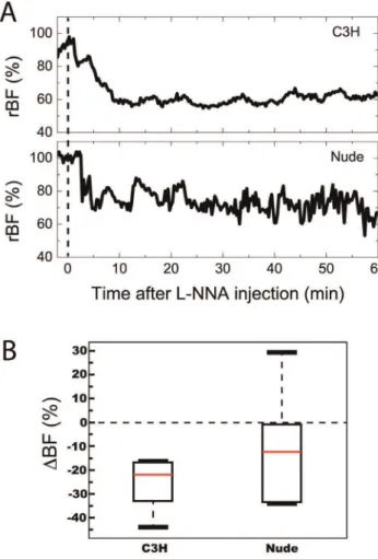 Figure 5. L-NNA decreases tumor blood flow in C3H animals.