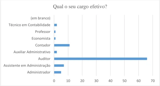 Figura 4.9 Cargo efetivo ocupado 