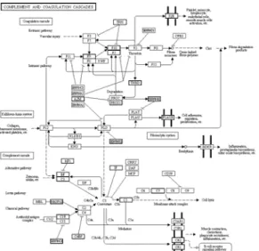 Fig 1. Differentially expressed genes in the complement and coagulation cascades pathway