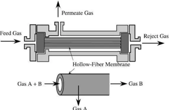 Fig. 1 Schematic diagram of a hollow fiber membrane 