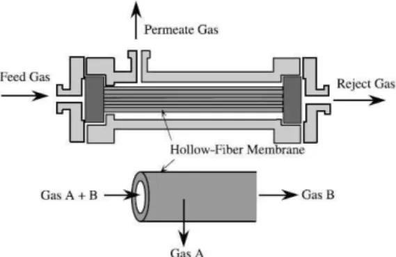 Fig. 1 Schematic diagram of a hollow fiber membrane 