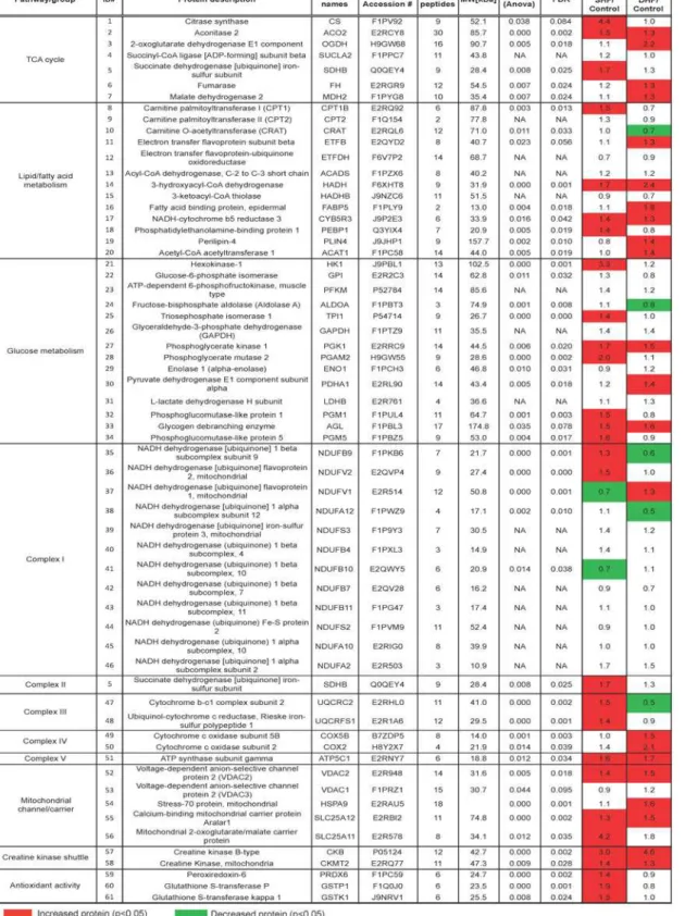 Fig 2. Heat map of selected metabolic proteome. Metabolism-related proteins detected by LC-MS/MS, and presented as fold change in SHF and DHF compared with those from Control