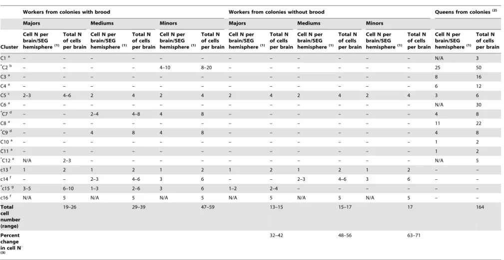Table 1. Number of sNPFR immunoreactive cells found in the brain of worker subcastes from colonies with and without brood and comparison to those reported previously for queens.