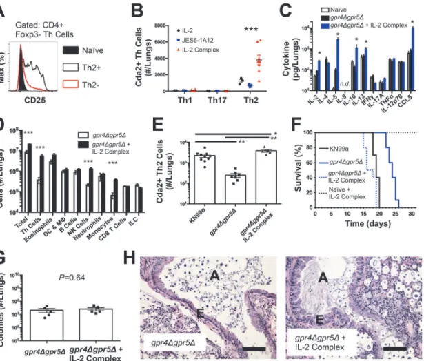 Fig 2. IL-2 Complexes Augment Type-2 Helper T Cells and Enhance Fungal Disease. (A) CD25 expression by na ï ve (CD4+, CD44−), Th2- (CD4+, CD44+, IL-5-, IL-13 − ), and Th2+ (CD4+, CD44+, IL-5+, IL-13+) cells