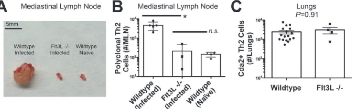 Fig 3. Lymphoid Priming is Dispensible for Pulmonary Th2 Cell Induction during Cryptococcal Infection
