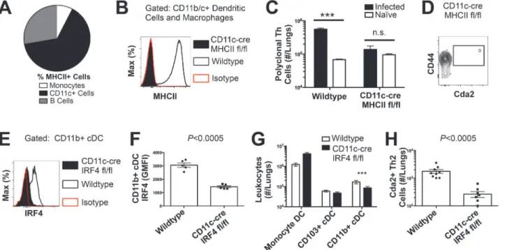 Fig 4. Interferon Regulatory Factor 4-Dependent Conventional Dendritic Cells Coordinate Th2 Cell Induction