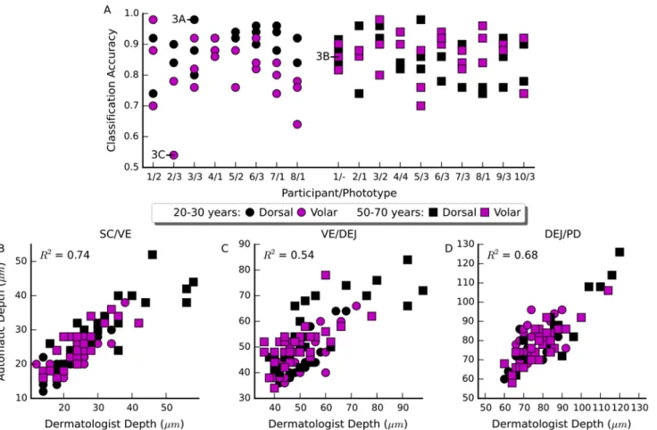 Fig 2. Accuracy and agreement of the automated approach with the dermatologist for individual stacks
