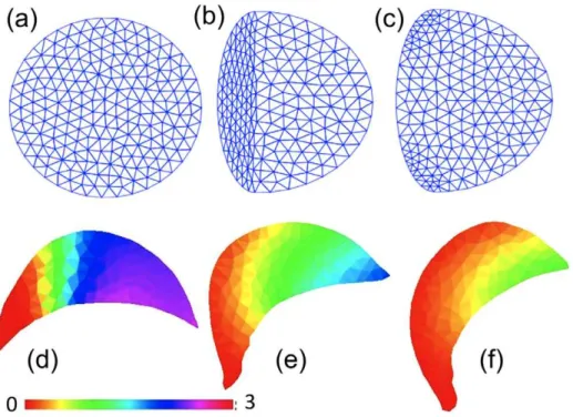 Figure 5. Finite element 2-D simulations. (a–c) An illustration of remeshing in a FEM computation