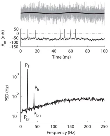 Figure 11. An example of power-spectrum density (PSD). Top, the signal (black) and the signal plus noise (gray)