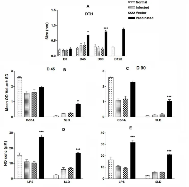 Figure 5. Cellular response against SLD in normal, infected control, vector (pcDNA) control as well as LdTPI-DNA vaccinated hamsters at different time intervals post challenge