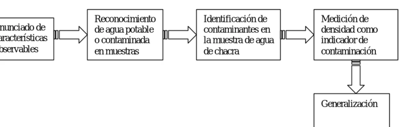 Figura 1: Patrón de organización evidenciado en el discurso del profesor 