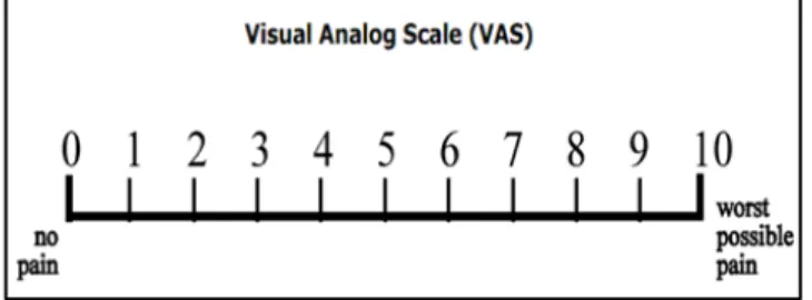Fig. 1: Visual Analog Scale 