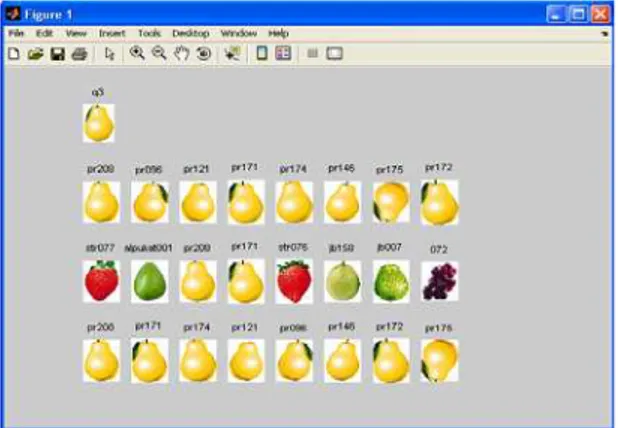 Gambar 5. Hasil CBIR dalam seleksi citra buah pir. 