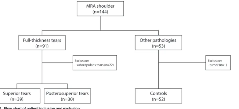 Fig 1. Flow chart of patient inclusion and exclusion.