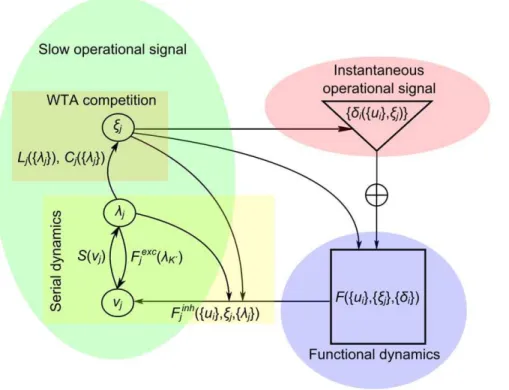 Figure 3. Interactions among the functional architecture’s components. The functional dynamics F({u i },{j j },{d i }) is fed back to the slow serial dynamics by means of inhibitory feedback, F inh ({u i },j j ,{l j }), and is integrated by the feedback in