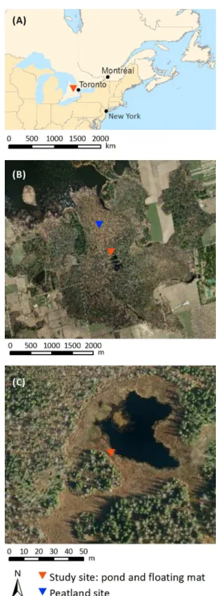 Figure 1. Location of the study site in southern Ontario, Canada (a), studied pond with floating mat and peatland site in Wylde Lake Bog in the Luther Marsh Wildlife Management Area with Luther Lake in the northwest (b) and close-up of the studied pond and