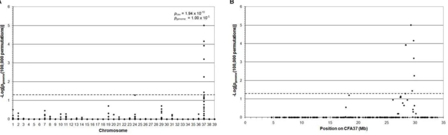 Figure 1. Genome-wide association mapping of PRA in Golden Retrievers. 2Log 10 of p-values after correction for multiple testing and population stratification with 100 000 permutations and IBS clustering, respectively