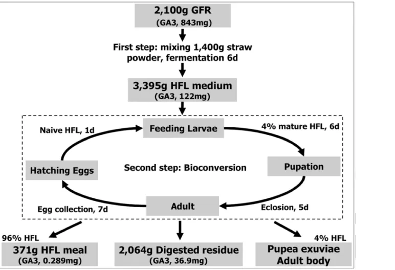 Fig 1. Bioconversion process of GFR employing HFL assisted by C. variabile Q0029.