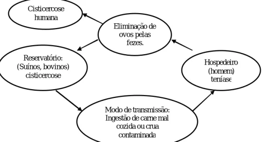 Figura 1 - Cadeia  Epidemiológica  - Teníase 