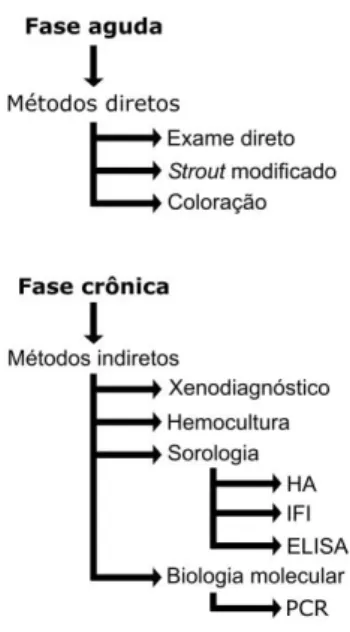 Figura  1.  Esquema  dos  principais  métodos  diagnósticos  da  doença  de  Chagas.  HA: 