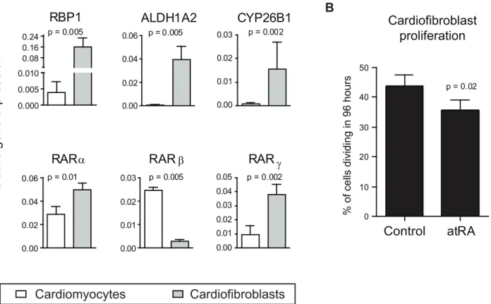 Figure S1 Retinoic acid signalling is independent of hypoxia- hypoxia-inducible factor 1a (HIF-1a)