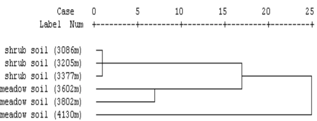 Fig. 3. Hierarchical cluster analysis of nitrogen-fixing bacterial communities in the study region.