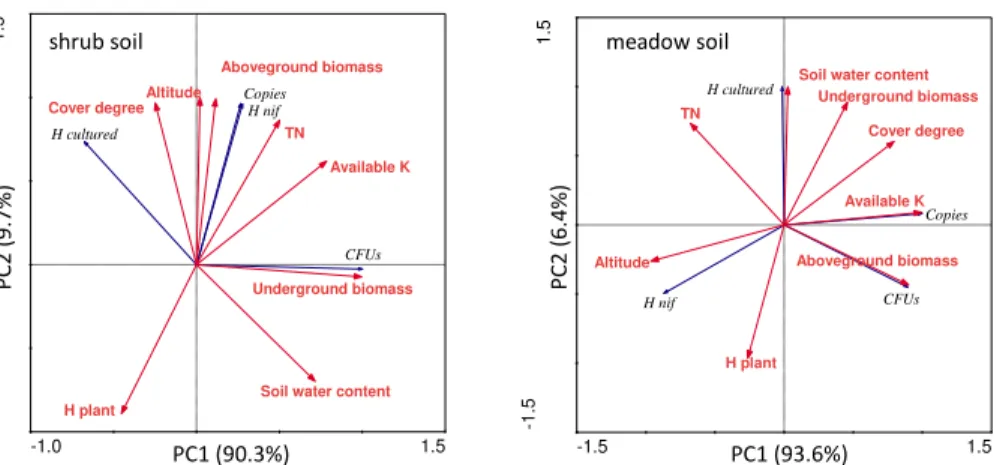 Fig. 6. Correlation analysis between nitrogen-fixing bacterial characteristics and environmental factors by RDA.
