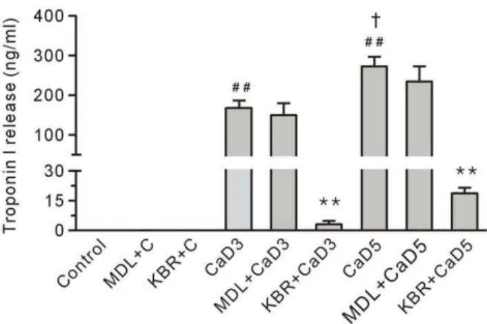 Figure 10. Treatment with 10 mM KB-R7943 (KBR), but not 10 mM MDL28170 (MDL) reduced the level of troponin I in the coronary effluent from the Ca 2+ paradoxic hearts