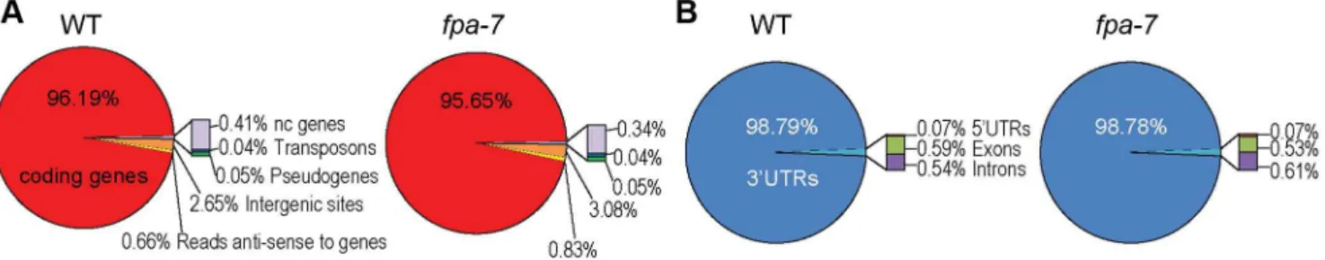 Figure 1. Distribution of DRS reads. (A) Genome-wide distribution after re-annotation in wild-type (WT) and fpa-7