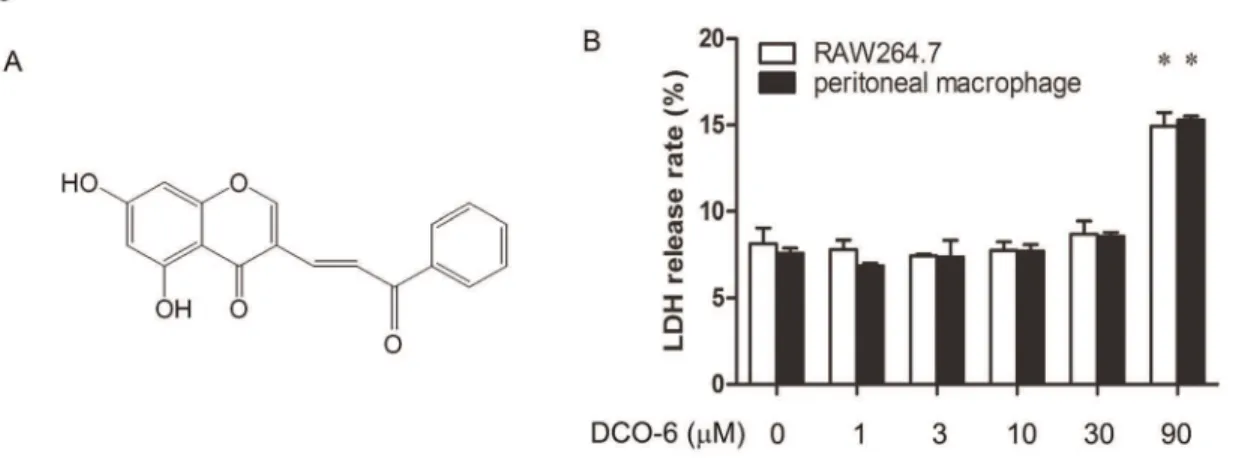 Figure 1. The effect of DCO-6 on cell viability of murine macrophages. (A) The chemical structure of DCO-6