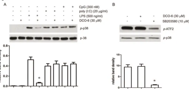 Figure 4. Effects of DCO-6 on p38 MAPK activation induced by different TLR ligands in RAW264.7 cells