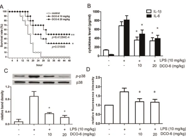 Figure 6. Protective effect of DCO-6 against LPS-induced septic shock in mice. BALB/c mice were administered LPS (10 mg/kg) and DCO-6 (10 or 20 mg/kg) or vehicle (olive oil) intraperitoneally