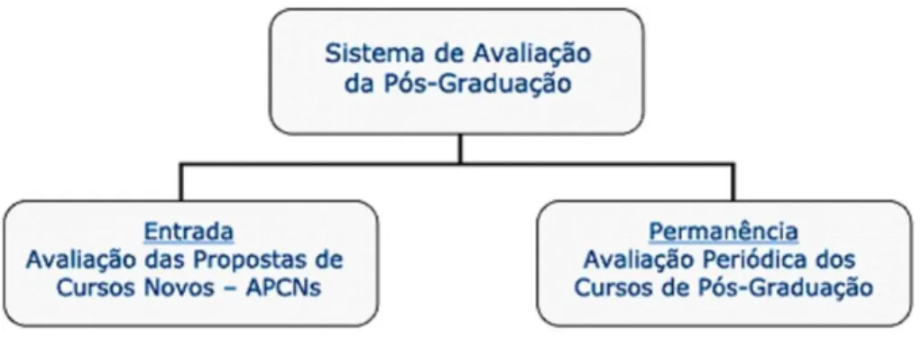 Figura 1. Processos do Sistema de Avaliação da Pós-Graduação. 