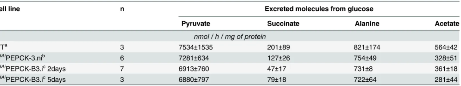 Table 1. Production of succinate, pyruvate, alanine and acetate from glucose in PEPCK RNAi T 
