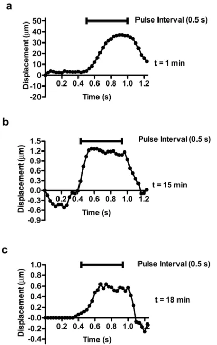 Fig 4. Characteristic bead displacement due to applied ARF at 7.5 kHz in clotting platelet poor plasma.