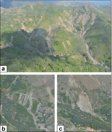 Figure 3. Different types of shallow landslides which occurred on 1 October 2009: (a) debris flows, (b) debris slides and (c) debris avalanches.