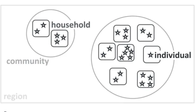 Fig 1. (a) Illustration of the model structure. The stars represent individuals, the rounded squares represent households, the circles represent