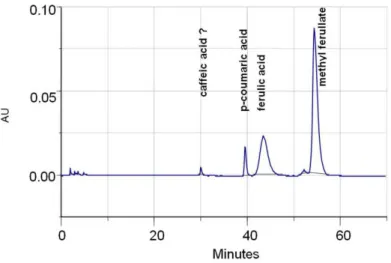 Fig. 1.  An example chromatogram obtained after the separation of  phenolic acids and methyl ferulate during ferulic acid esterase  activity determination 
