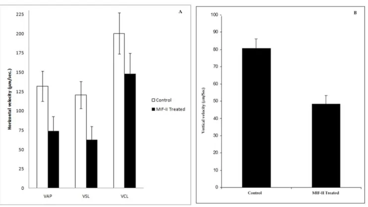 Figure 7. Assessment of MIF-II activity using CASA &amp; SPERMA. A) Effect of MIF-II (1 mg/ml) on different CASA parameters