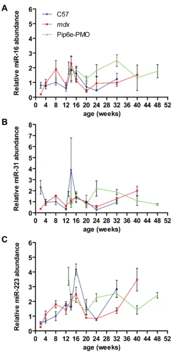 Figure 6. Serum time course of putative reference miRNA abundance. Male C57Bl/10, mdx and Pip6e-PMO treated mdx mice were sacrificed at various ages and serum miRNA levels determined by small RNA TaqMan RT-qPCR
