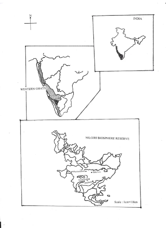 Figure 1.  Location of study areas in Western Ghats 