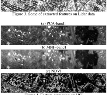 Figure 3. Some of extracted features on Lidar data  (a) PCA-band1 