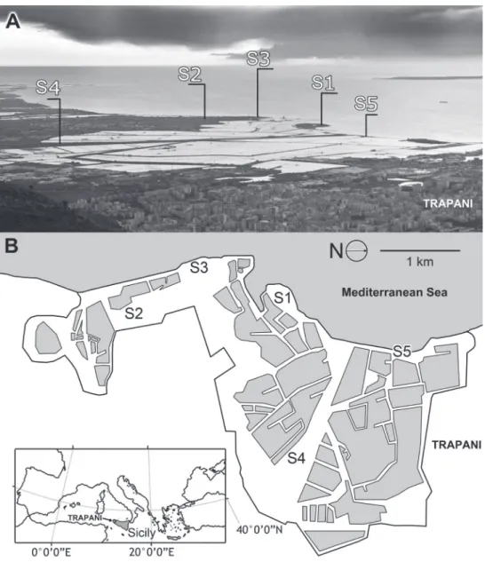Figure 1. Map of the study area. Sampling sites are indicated. Salt pans are represented by polygons.