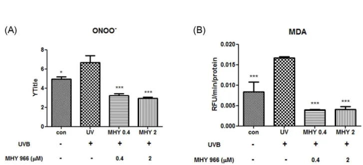 Figure 4.    Effects of MHY 966 on UVB-induced ONOO -  and MDA in HRM2 mouse dorsal skin