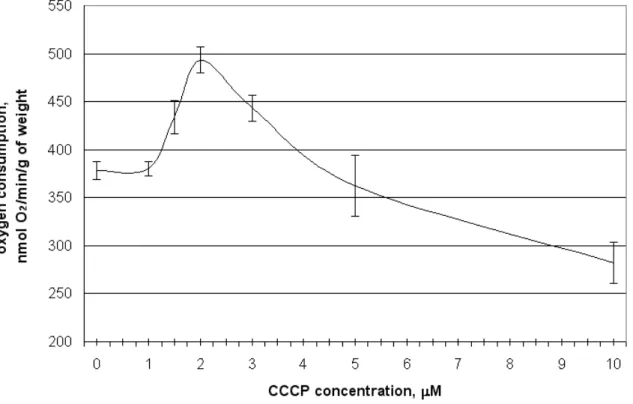 Fig. 1. The influence of CCCP concentration in infiltration medium on the oxygen consumption  of winter wheat seedlings shoots