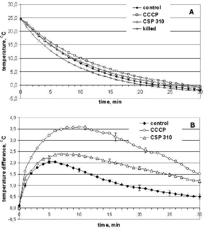 Fig. 3. The temperature of “control” (water-infiltrated), CCCP-infiltrated, CSP-310 infiltrated and “killed” 
