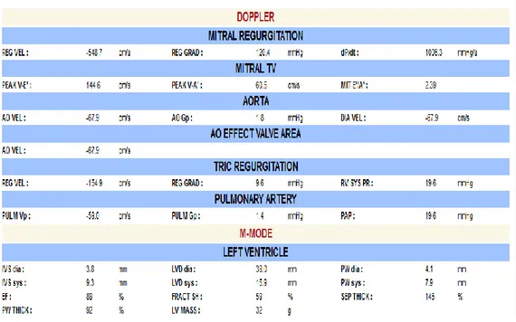 Figura 9. Tabela com os resultados finais obtidos no ecodopplercardiograma. 