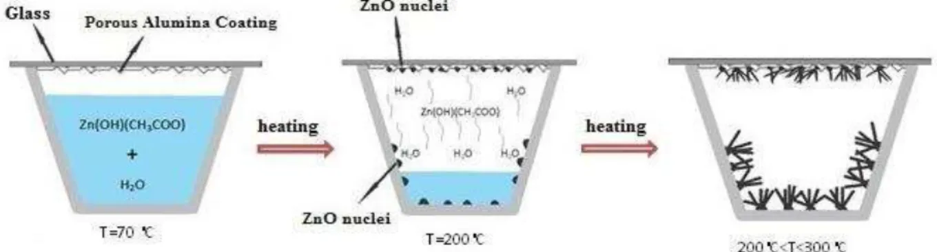 Fig. 1. The Scheme of the growth process 