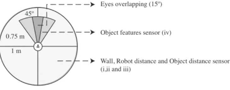 Figure 3.3: Robot sensors representation. 4 sensors with 90 o opening angle for sensors i), ii) and iii) and 2 eyes-like sensor with 45 o opening angle and 15 o